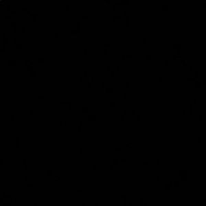 Meet your Posher, Bodhi